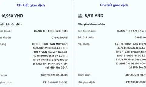 Người phụ nữ chuyên quỵt tiền của đối tác bằng chiêu 'chuyển khoản thiếu 3 số 0'