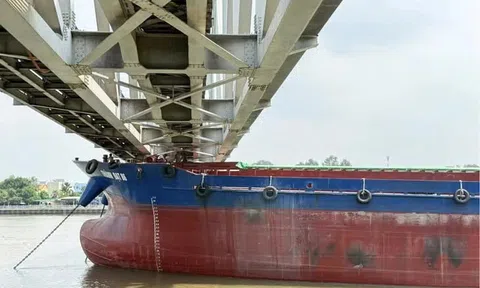 Tôn trọng luật giao thông phải thành bản năng