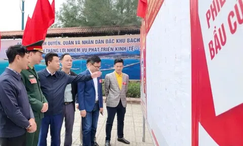 Đặc khu Bạch Long Vĩ là nơi bầu cử sớm duy nhất của Hải Phòng, không bầu HĐND cấp xã, phường