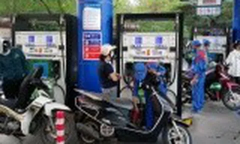 Thủ tướng yêu cầu bảo đảm cung ứng xăng dầu cho sản xuất, kinh doanh và tiêu dùng