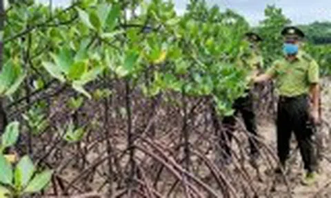 Quảng Ninh xây dựng chính sách đặc thù về lĩnh vực nông nghiệp