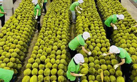 Nhiều tín hiệu tích cực với xuất khẩu Việt Nam giữa biến động Trung Đông