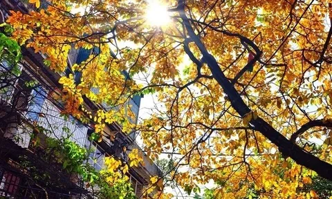 Dự báo thời tiết ngày 17/3: TP.HCM mưa cục bộ, Hà Nội nắng 28°C