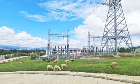 Mảng điện bứt phá, Điện Gia Lai (GEG) báo lãi tăng gấp hơn 10 lần trong năm 2025