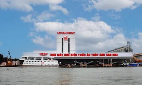 Tập đoàn Sao Mai (ASM): Giải thể công ty con, bức tranh tài chính lộ nhiều áp lực