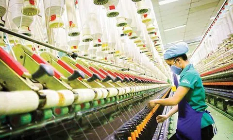 Giá xăng dầu biến động, doanh nghiệp kiến nghị nhiều giải pháp cấp thiết