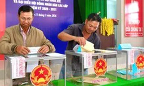 Tây Ninh công bố 81 người trúng cử đại biểu HĐND tỉnh khóa XI