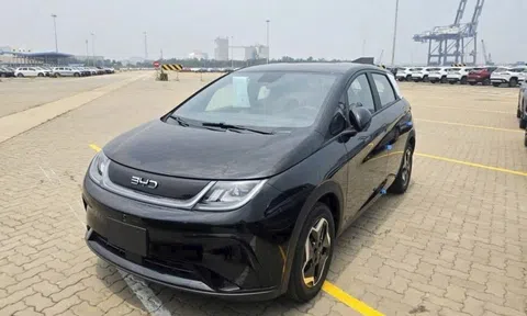 BYD Dolphin 2026 mở bán từ tháng sau, giá rẻ hơn bản cũ gần 100 triệu?