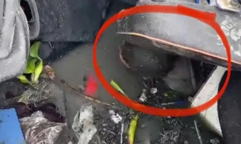 Tài xế kẹt trong xe trộn bê tông lật dưới ao