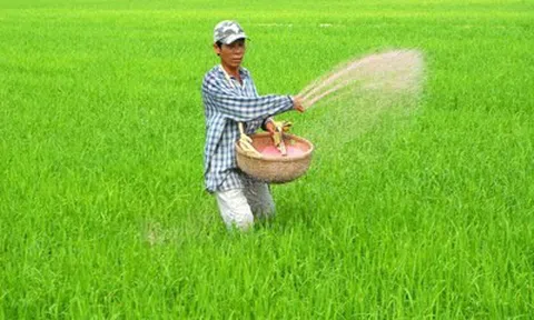Giá phân bón neo cao, doanh nghiệp ém hàng: Nguy cơ ảnh hưởng chuỗi giá trị nông nghiệp