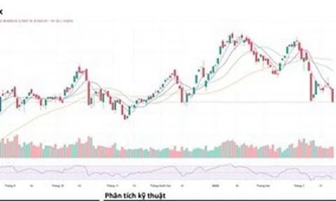 Cú rơi hơn 50 điểm cuối tuần kéo VN-Index về vùng đáy ngắn hạn, nhà đầu tư nên thận trọng