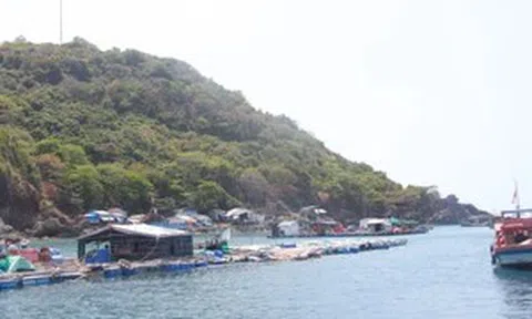 Đề xuất triển khai 'Dự án nuôi biển' ứng dụng công nghệ cao khu vực đảo Hòn Chuối