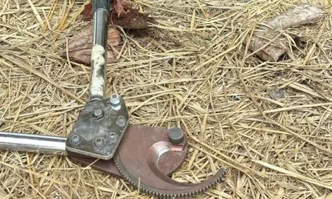 Người đàn ông tử vong khi dùng sào sắt tự chế chạm vào điện