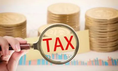 Kê khai thuế 2026: Những lưu ý quan trọng hộ kinh doanh cần nhớ