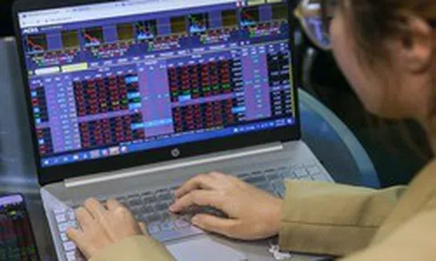 Chuyên gia nêu lý do chứng khoán thủng 1.600 điểm nhưng nhiều cổ phiếu vẫn tăng trần?