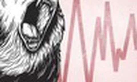 Bóng dáng downtrend 2022