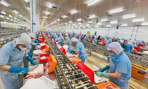 Quy định mới về bao bì và rác thải bao bì của EU các doanh nghiệp xuất khẩu thủy sản cần nắm rõ