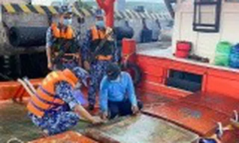 Kiểm soát chặt phương tiện, quyết liệt chống buôn lậu xăng dầu