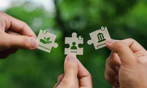 Kỳ 1: 'Cơn lốc' ESG và cuộc đua sinh tồn của những người khổng lồ