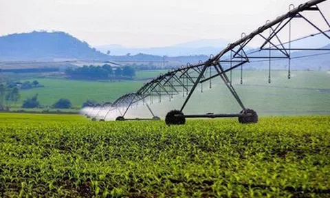 Triển khai thi đua “Đổi mới sáng tạo, phát triển KHCN, chuyển đổi số, chuyển đổi xanh"