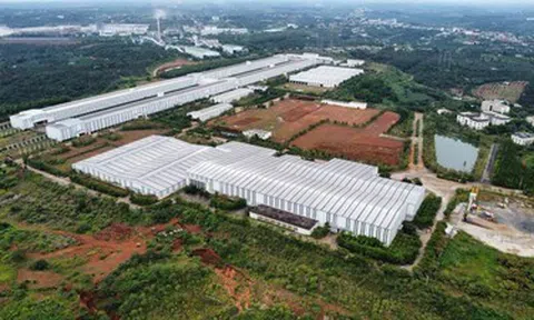 Tiềm lực 2 doanh nghiệp đề xuất làm tổ hợp nhiệt điện than - nhôm 5 tỷ USD ở Lâm Đồng