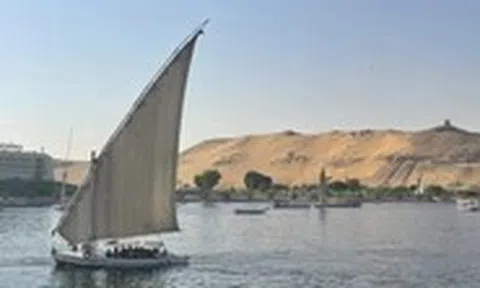 Xuôi sông Nile mà nhớ Việt Nam