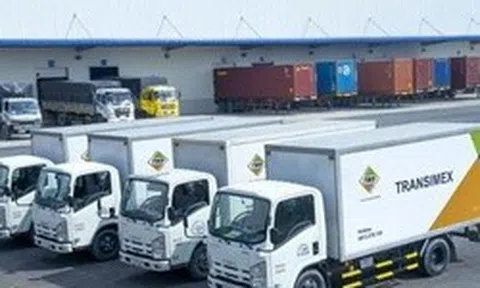 Vì sao Transimex không đáp ứng điều kiện công ty đại chúng?