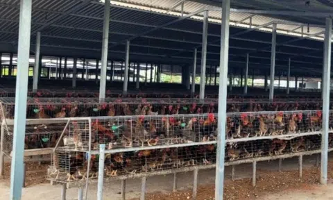 Vì sao nhiều nhà ở Đồng Tháp phải đóng kín cửa khi ăn cơm?