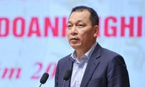 Nêu câu hỏi tại sao EVN phải đầu tư nhiều thế, chủ tịch nói nếu không đầu tư 5 năm sau sẽ thiếu điện