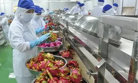 Nâng cao chất lượng, quy chuẩn nông sản xuất khẩu sang EU