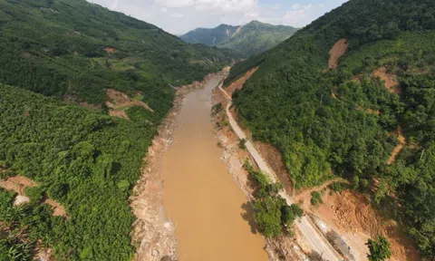 Việt Nam nhận gần 1.900 tỷ đồng để phát triển rừng miền Bắc