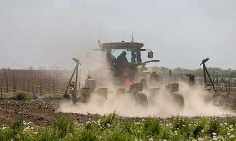 Không chỉ dầu khí, căng thẳng ở eo biển Hormuz đang làm rung chuyển một mặt hàng thiết yếu khác