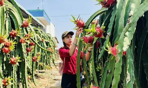 Nông sản Việt Nam cần chủ động thích ứng trước các quy định mới từ EU