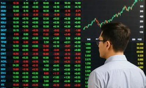 Chuyên gia chỉ tên nhóm cổ phiếu có thể "dẫn sóng" khi VN-Index xác nhận đáy