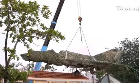 Cận cảnh di chuyển chiếc máy bay Mig21 bị 'bỏ quên' tại Cà Mau