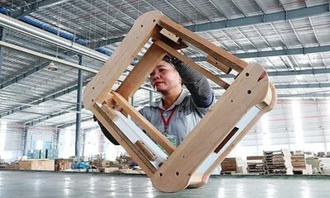 Gỗ không đủ “xanh”: Áp lực carbon buộc ngành vật liệu xây dựng tái cấu trúc