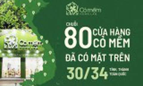 Cỏ Mềm: Hành trình từ thương hiệu truyền cảm hứng đến tiên phong phát triển bền vững