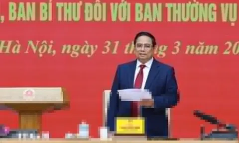 Báo cáo kiểm tra, giám sát đối với Ban thường vụ Đảng ủy Chính phủ