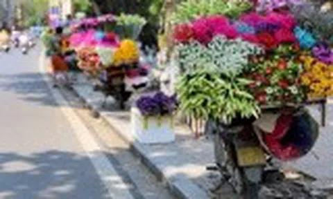 Dự báo thời tiết ngày 1/4: Bắc Bộ có mưa dông, trời dịu mát