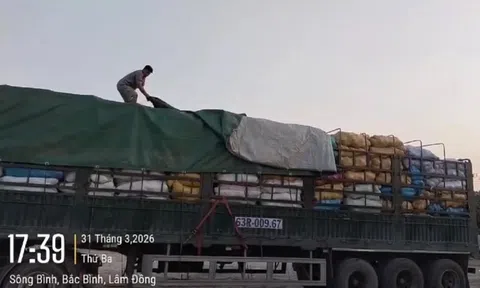 Xe chở quá khổ trên cao tốc Phan Thiết - Vĩnh Hảo bị phạt hơn 40 triệu