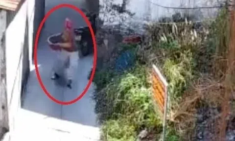 Vứt rác bừa bãi, thanh niên ở TP.HCM bị phạt tiền