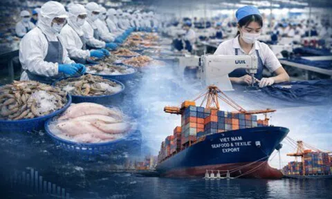 Tái cấu trúc dòng chảy thương mại, thủy sản và dệt may bước vào chu kỳ thử thách