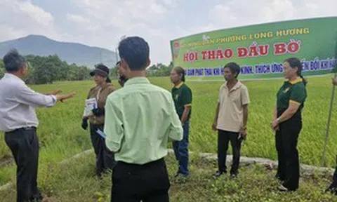 Phường Long Hương (TP HCM) tập huấn sản xuất lúa thích ứng biến đổi khí hậu cho nông dân