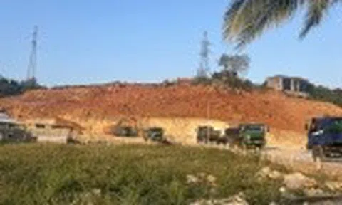 Khánh Hòa: Bắt quả tang khai thác, vận chuyển đất trái phép quy mô lớn tại xã Diên Lạc