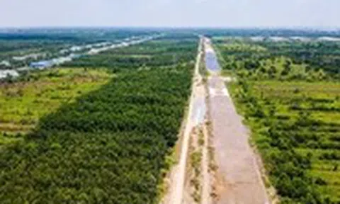 Báo động đỏ đoạn phía tây vành đai 3 TP.HCM: Thi công rất chậm, gói thầu XL8 mới hơn 54%