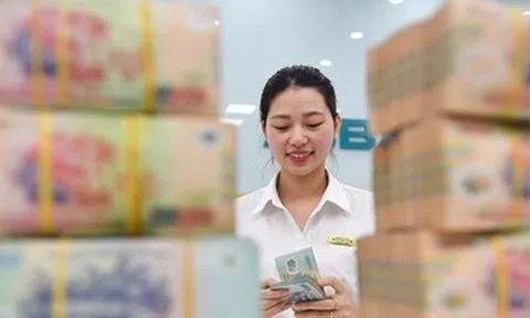 Lợi nhuận toàn ngành ngân hàng dự báo tăng trưởng 20%