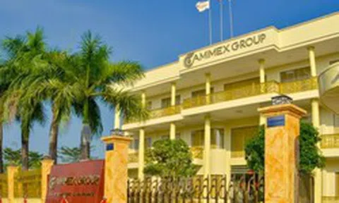 Cổ phiếu CMX của 'đại gia thủy sản' Camimex Group bị giữ nguyên diện cảnh báo