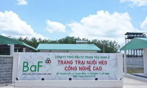 BaF Việt Nam chốt ngày tổ chức ĐHĐCĐ thường niên năm 2026