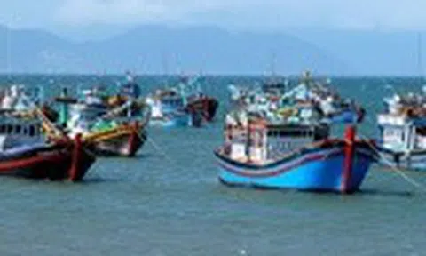 Tập trung triển khai Hệ thống eCDT: Giải pháp then chốt để gỡ “thẻ vàng” IUU