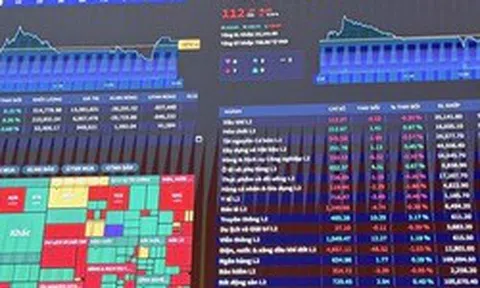 Nâng hạng chỉ là khởi đầu: Chứng khoán Việt Nam bước vào 'cuộc chơi dài hạn'